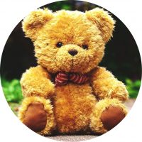 Peluche